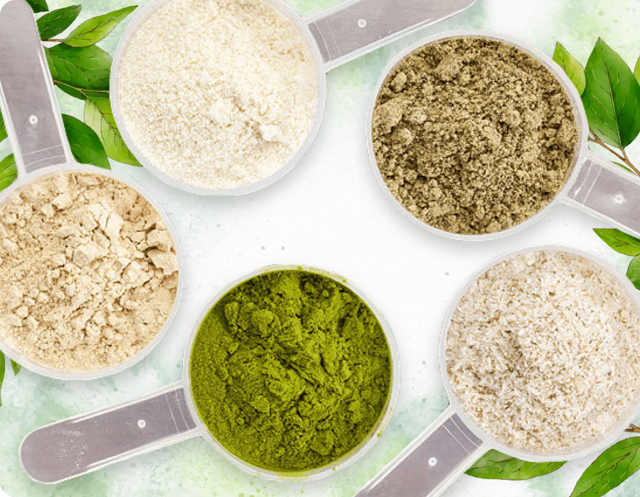 ProDentim plant and mineral blend